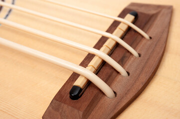 Four-string bass ukulele with wooden body and built-in tuner and pickup.