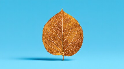 Fototapeta premium A detailed view of a dried autumn leaf against a bright blue background.