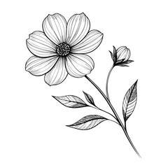 vector floral background creative clipart