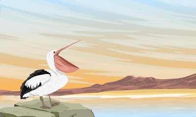 Pelican standing on a rock on the seashore at sunset. Wild birds of Australia, New Guinea and Indonesia. Vector realistic illustration