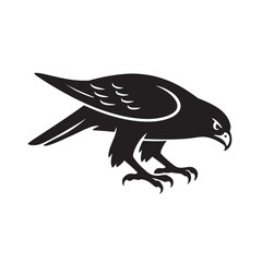 Hawk Hunting Position Silhouette