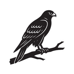 Hawk Perched Tree Branch Silhouette