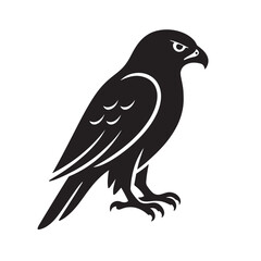 Fototapeta premium Hawk Silhouette Sharp Beak Feathers