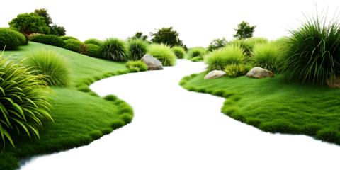 Flowing river of bluegrass mimicking water movement through a serene garden setting, providing a calming visual flow, isolated on white background as transparent. PNG