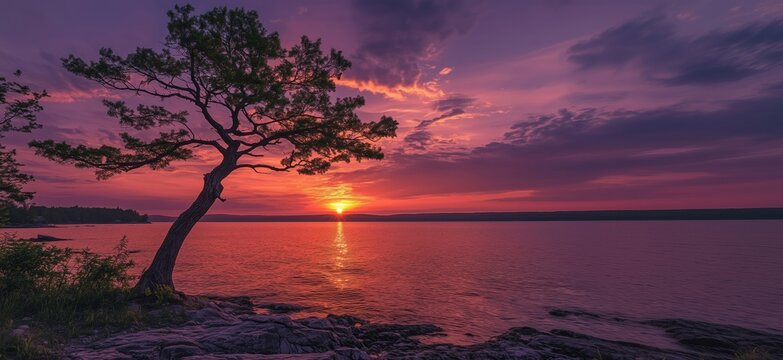 Stunning sunset over tranquil lake with silhouetted tree and vibrant purple sky
