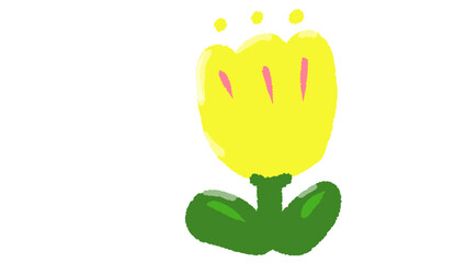 cactus with flower