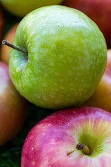 Apples of different varieties such as Granny Smith, Starking, Fuji are on the table