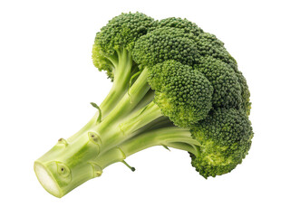 Broccoli seed png vegetable seed png organic seed png garden seed png healthy seed png green seed png heirloom broccoli seed png grow broccoli png transparent background image