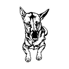 Carolina Dog Breed - Pet Vector Cut file, Dog Silhouette Stencil - Cricut file