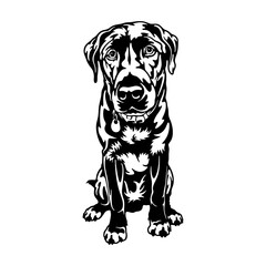 Labrador Retriever Dog Breed - Pet Vector Cut file, Dog Silhouette Stencil - Cricut file