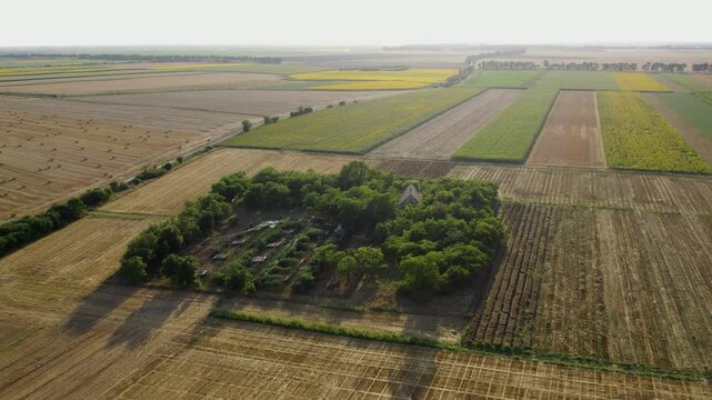 Landscape view of agricultural fields and forested area near Becej during sunny afternoon