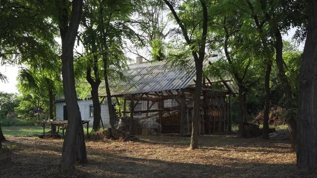 Beautiful rustic house surrounded by trees in Becej during golden hour, showcasing nature's tranquility and charm