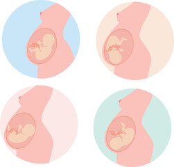 9 Months Pregnant- Position of Baby in Womb