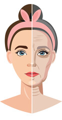  stages of aging of the female face