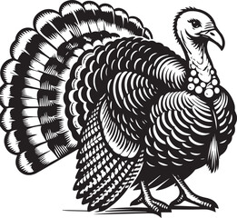 Black and White Turkey Bird Vector Illustration