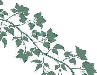 Green leafy vine silhouette on white background, perfect for decorative botanical designs, elegant wallpapers, nature-inspired illustrations, or minimalist vector artwork and surface patterns.