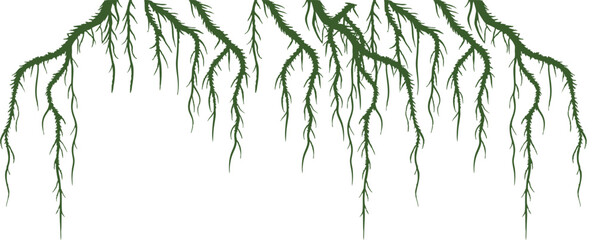 Vector illustration of hanging green aerial roots or jungle vines, perfect for nature backgrounds, tropical forest designs, fantasy scenes, and wild botanical elements in creative artwork.