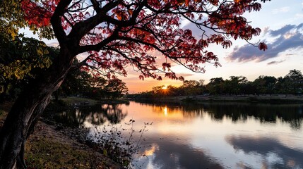 Obraz premium Sunset reflection over calm lake nature scene autumn colors tranquil setting scenic viewpoint