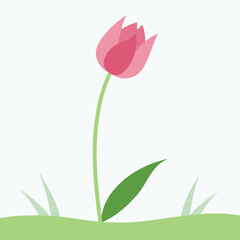 Simple pink tulip flower illustration with green grass design element