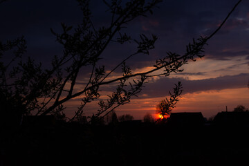  Incredibly beautiful, colorful sunset in the evening sky.