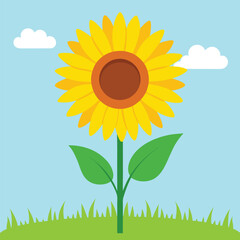 Cheerful cartoon sunflower growing in green grass under a blue sky © hafsa01