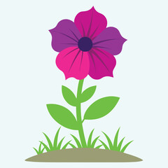 Colorful flower illustration with pink and purple petals in flat vector style