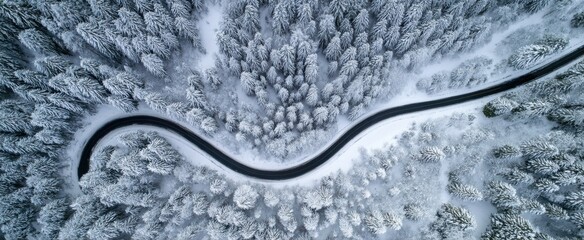 The winding road through a snowy forest landscape in winter.