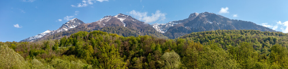 Obraz premium A mountain range with snow on the top and green trees in the foreground