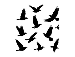Flying bird silhouette vector pack with multiple wing positions. Clean minimal design. Black on white background. EPS included.