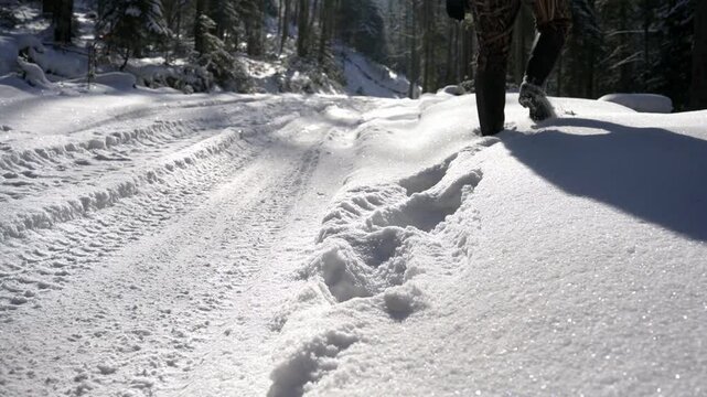 Winter Trekking in Goc Serbia Through Deep Snowy Terrain and Nature