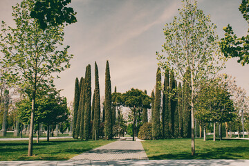verde, parco, passeggiata, erba, alberi, natura, 