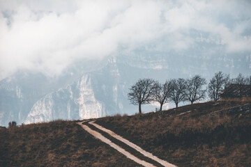 Fototapeta premium Misty autumn landscape in the Lessini Mountains, Veneto, Italy, with colorful beech forests in peak foliage, soft mountain fog, golden leaves, and a peaceful, atmospheric woodland scenery.