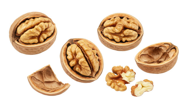 Walnuts assortment with whole and broken nuts isolated PNG with Transparent Background