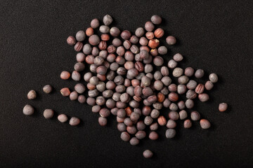 ［野菜の種］小松菜