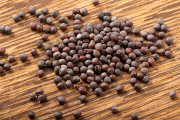 ［野菜の種］小松菜