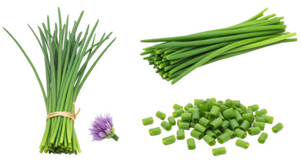 Obraz premium Fresh chives bunch, chopped pieces and flowers isolated on white background