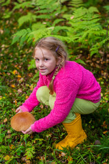  In autumn, a girl collects mushrooms in the forest.