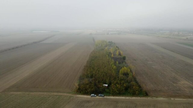 Exploring the serene landscape of Kac, Serbia with fields and trees in the background during a foggy day