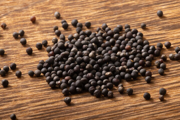 ［野菜の種］ブロッコリースプラウト