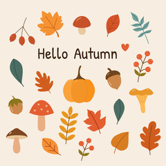 Vibrant autumn collection: leaves, pumpkins, mushrooms, and berries in a cheerful, flat vector style. Perfect for fall designs, harvest festival invitations, seasonal decorations, and educational mate