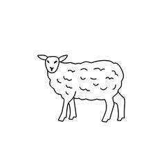 goat outline sketch