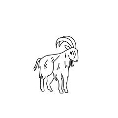goat outline sketch