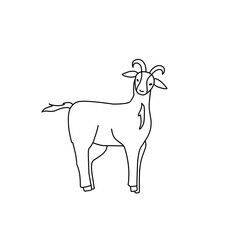 goat outline sketch