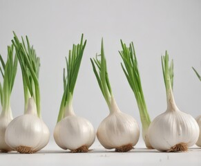 A row of fresh garlic bulbs with green stems, isolated on white ,  line,  vegetarian,  raw