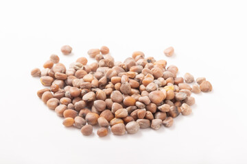 ［野菜の種］赤丸はつか大根