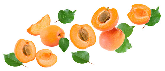 apricot fruits with green leaf isolated on white background. clipping path