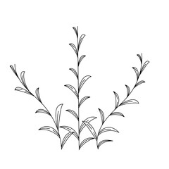 Wild Leaves Outline Stylized