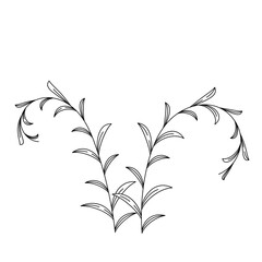 Wild Leaves Outline Stylized