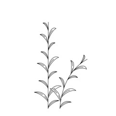 Wild Leaves Outline Stylized