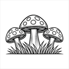  Mushrooms Vector, Mushroom, Fungi, Toadstool, Botanical, Illustration, Line Art, Black And White, Monochrome, Forest, Nature, Vintage, Hand Drawn, Engraved, Sketch, Wild, Flora, Plant, Detailed, vect